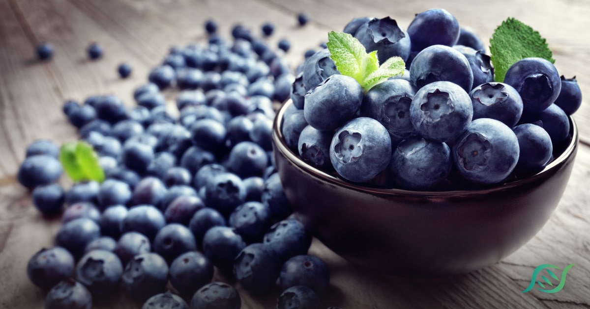 Health Benefits of Blueberries and Raw Blueberry Juice